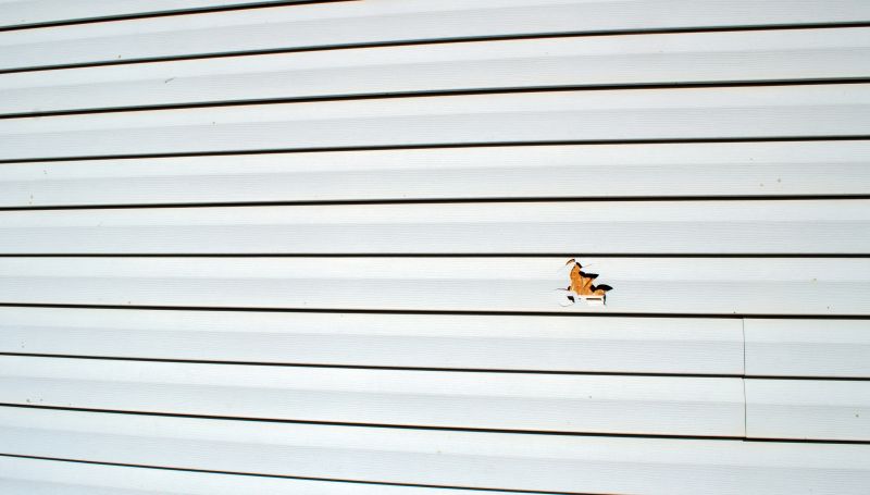 Siding Patch Repair detail